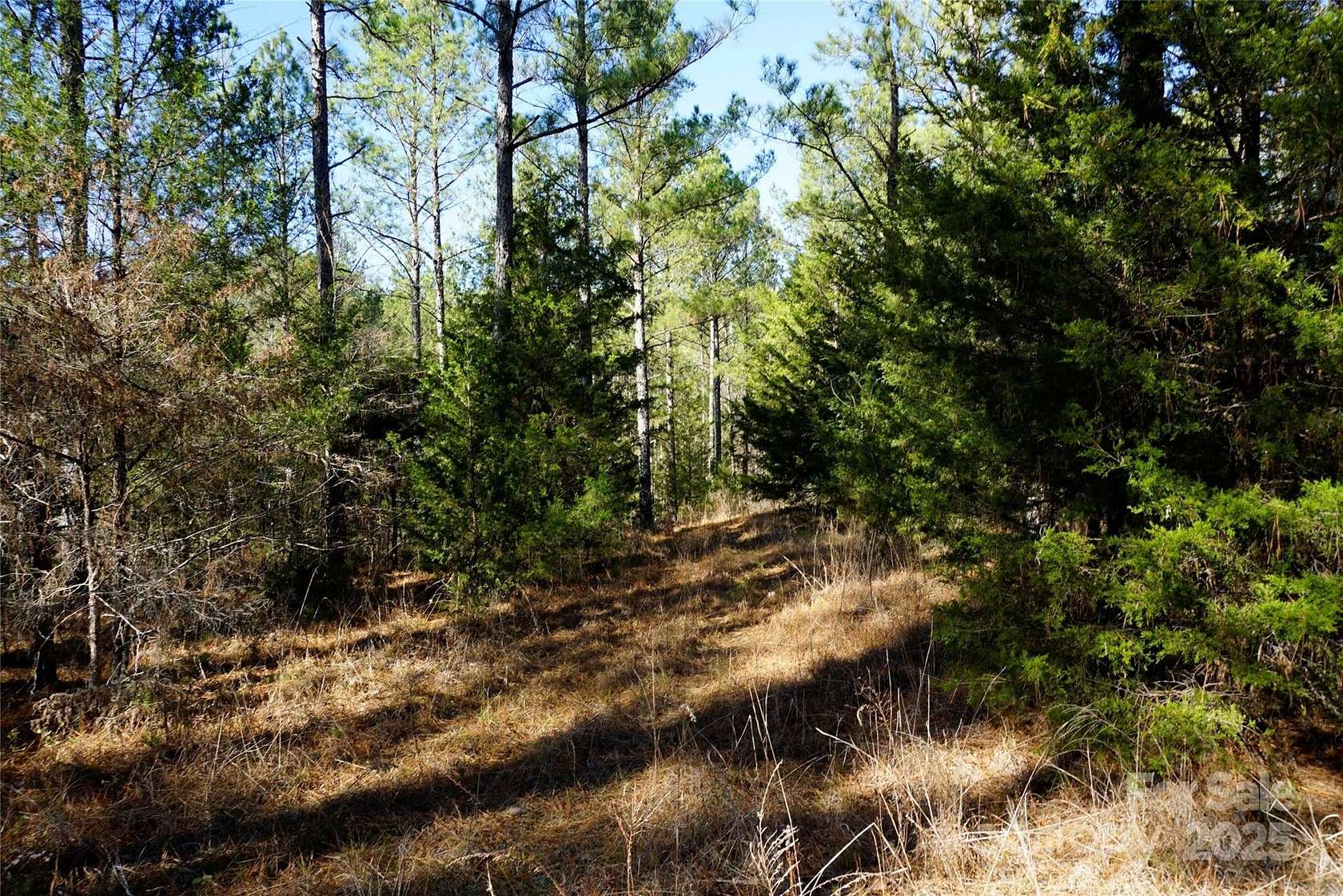 6.34 Acres of Residential Land for Sale in Chester, South Carolina