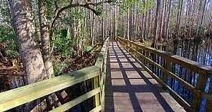 0.25 Acres of Residential Land for Sale in Lake Placid, Florida