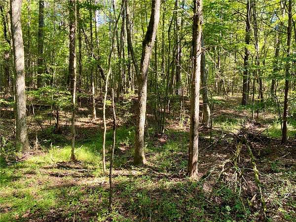 8.37 Acres of Residential Land for Sale in Iva, South Carolina