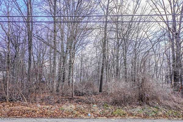 0.27 Acres of Residential Land for Sale in Alliance, Ohio