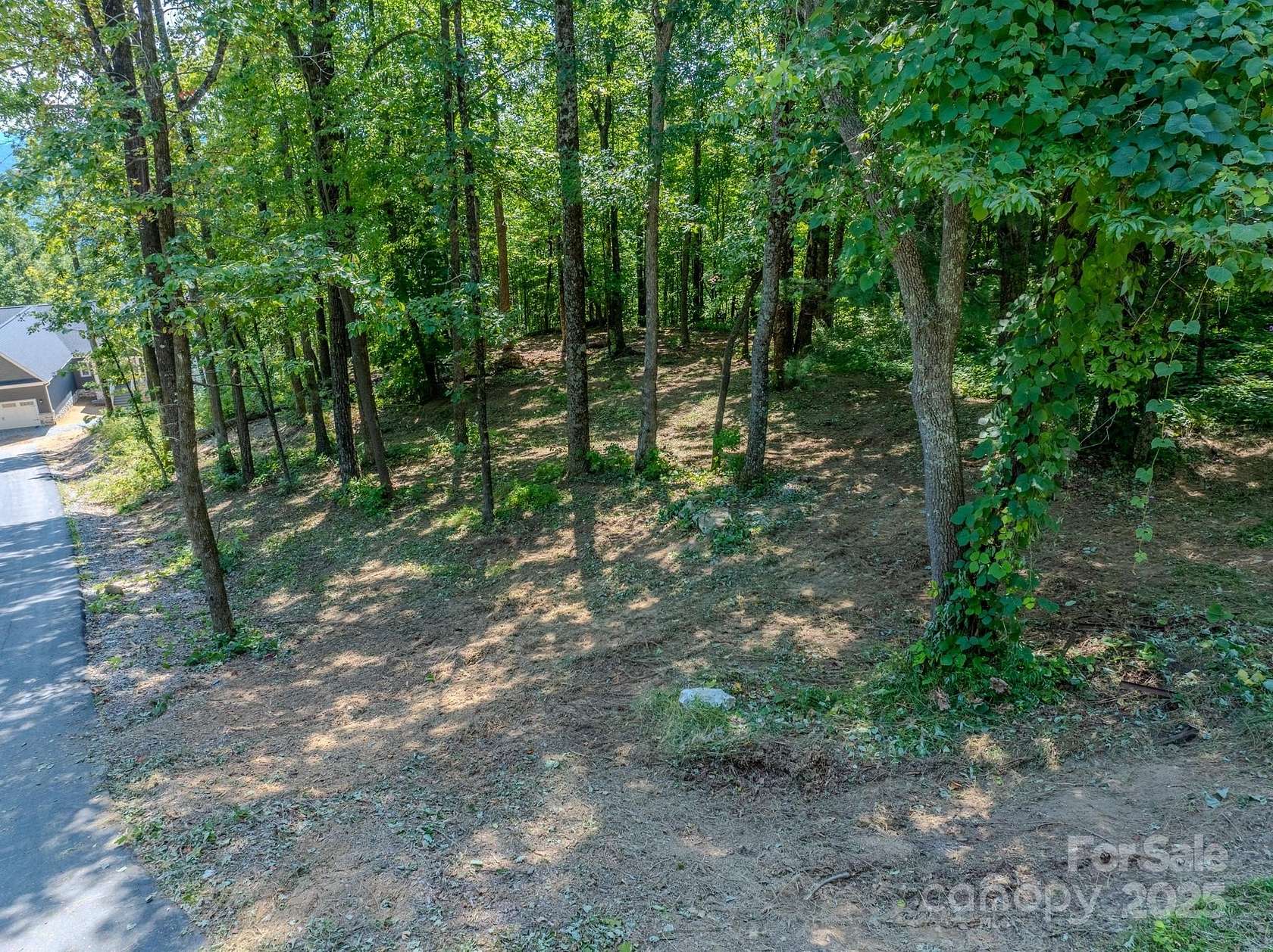 1 Acre of Land for Sale in Zirconia, North Carolina