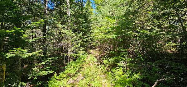 13 Acres of Recreational Land for Sale in Mercer, Wisconsin