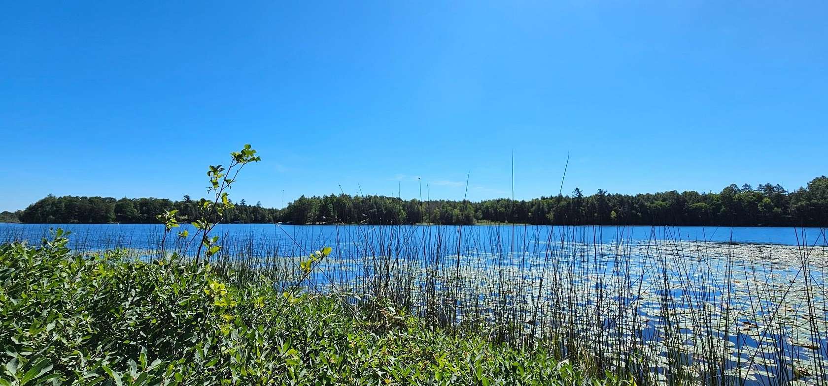 5 Acres of Recreational Land for Sale in Mercer, Wisconsin