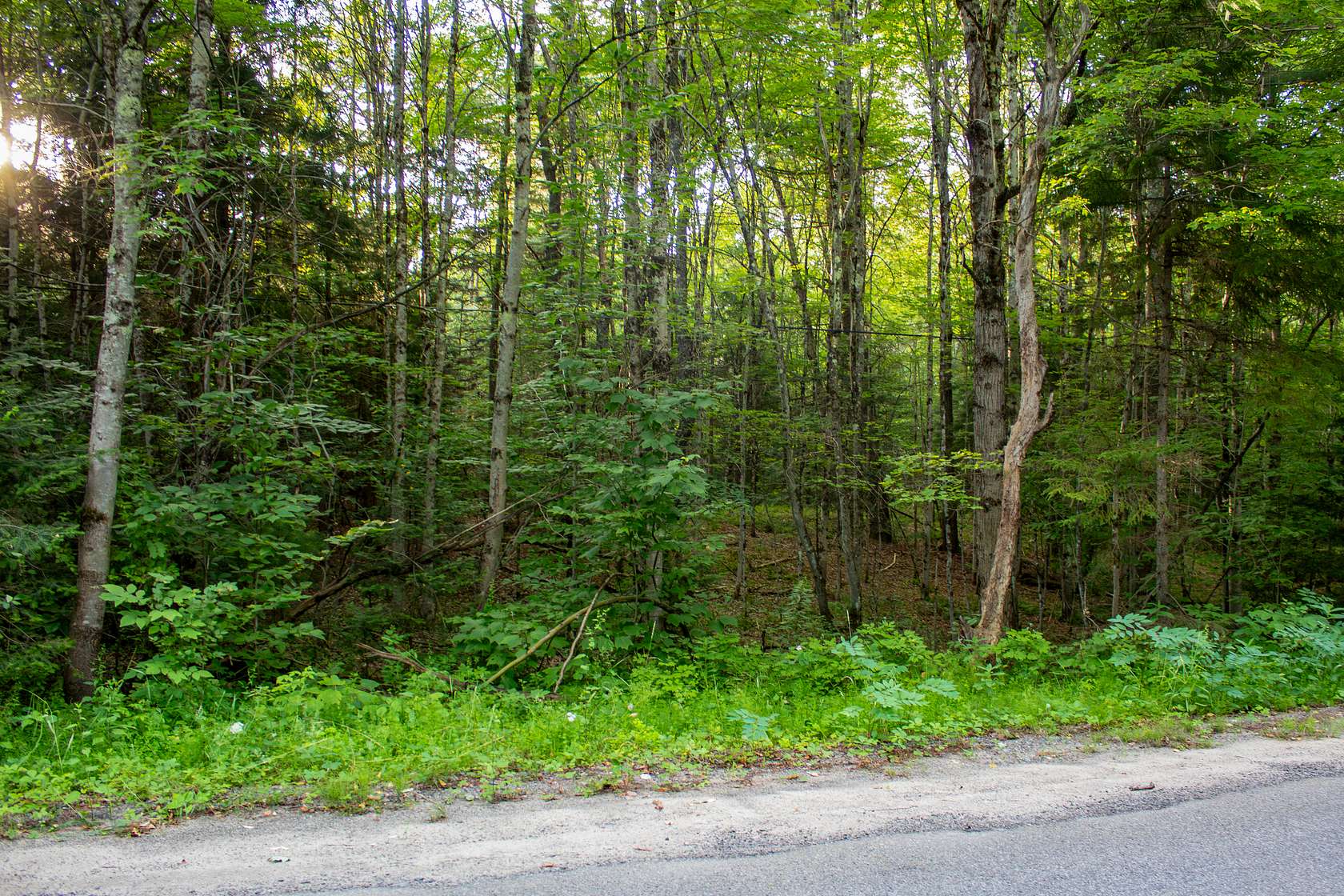128 Acres of Recreational Land for Sale in Stratford Town, New York