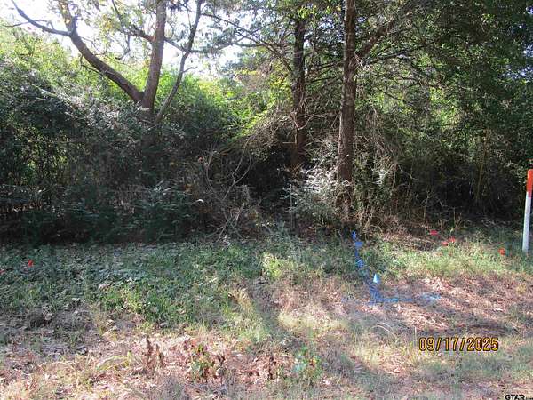 6 Acres of Residential Land for Sale in Arp, Texas