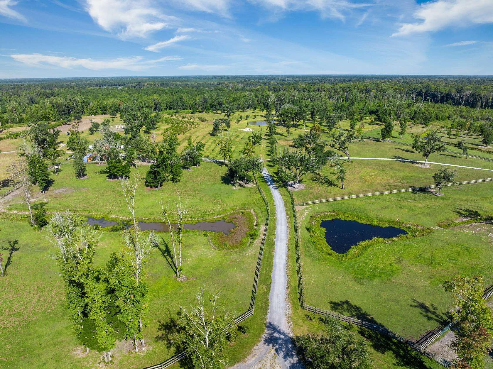 126 Acres of Agricultural Land for Sale in Ravenel, South Carolina