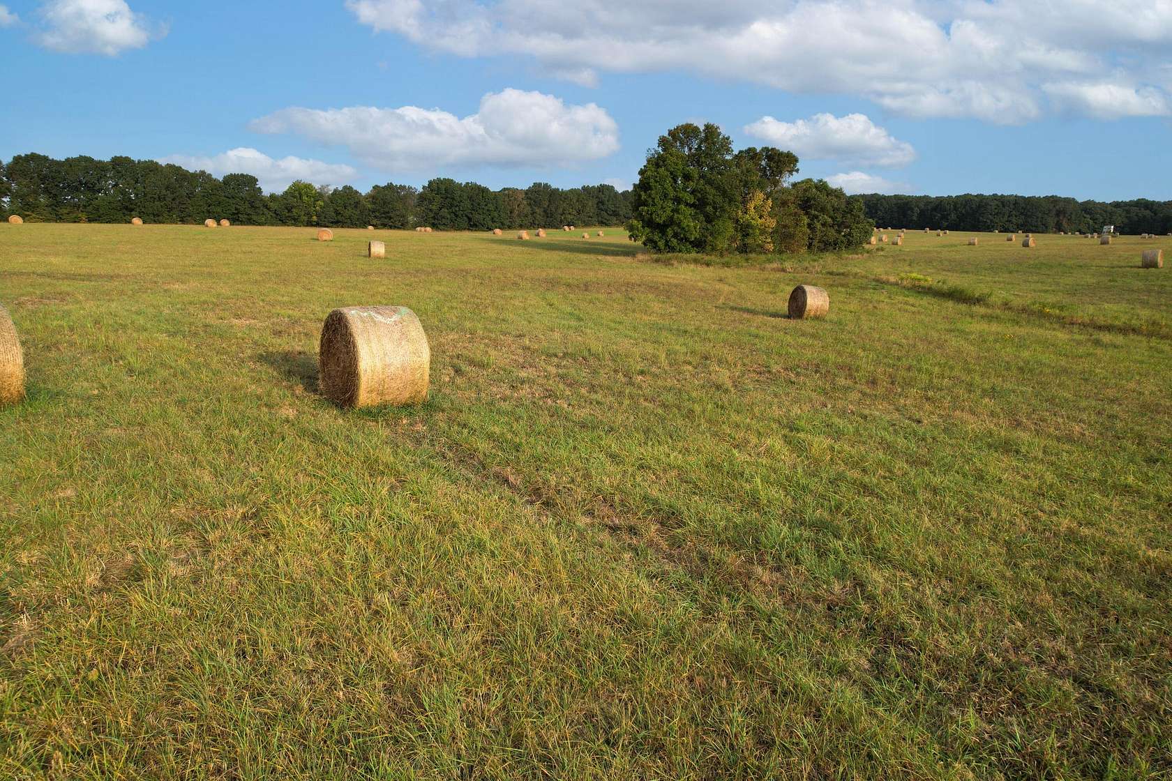 80 Acres of Agricultural Land for Sale in Strafford, Missouri