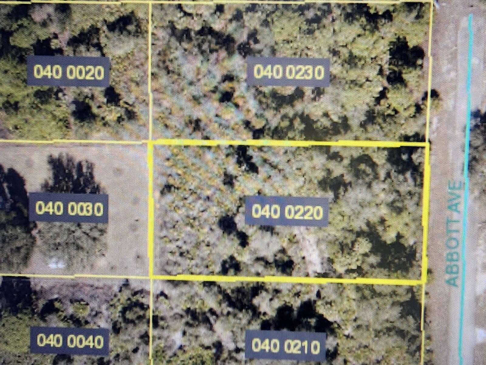 Residential Land for Sale in Alva, Florida