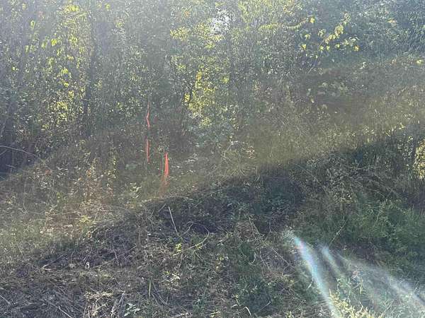 7.44 Acres of Land for Sale in Flippin, Arkansas