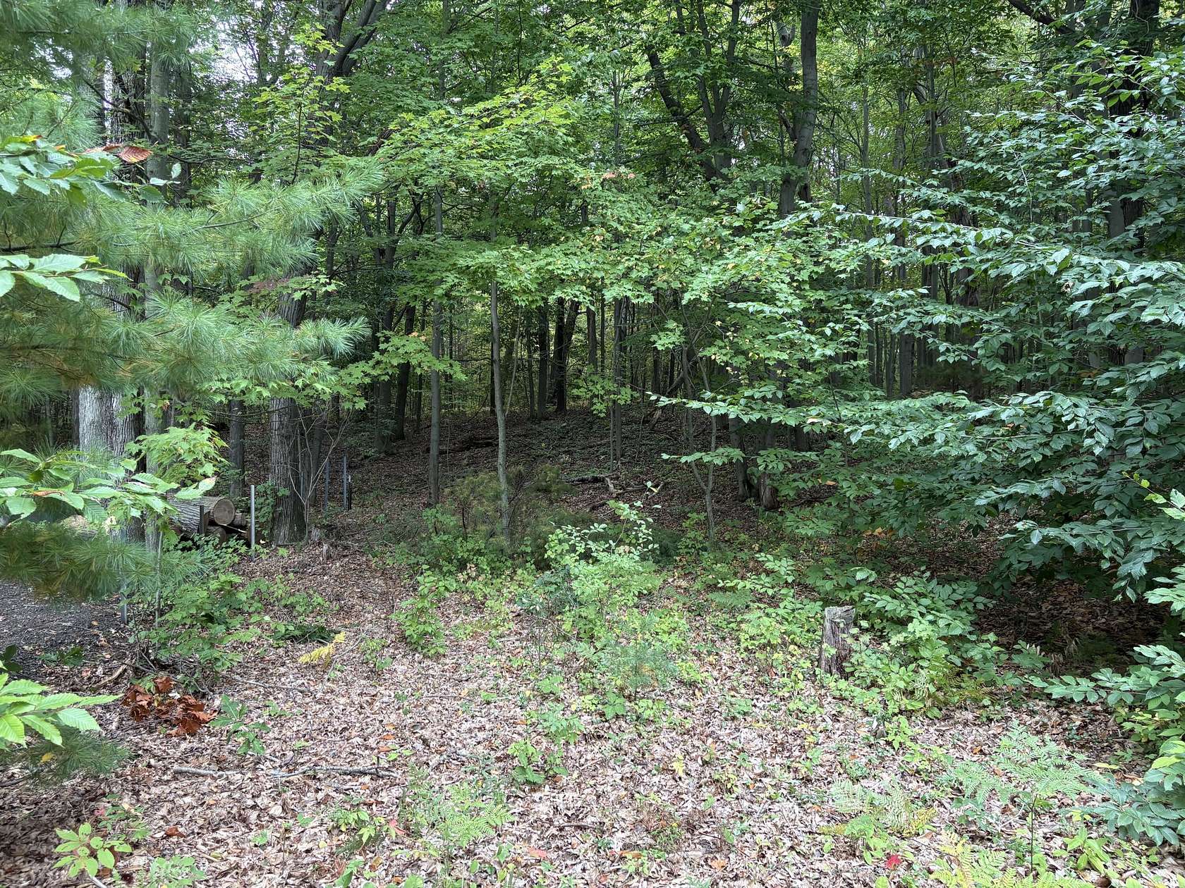 0.21 Acres of Residential Land for Sale in Mears, Michigan