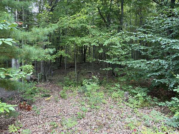 0.21 Acres of Residential Land for Sale in Mears, Michigan