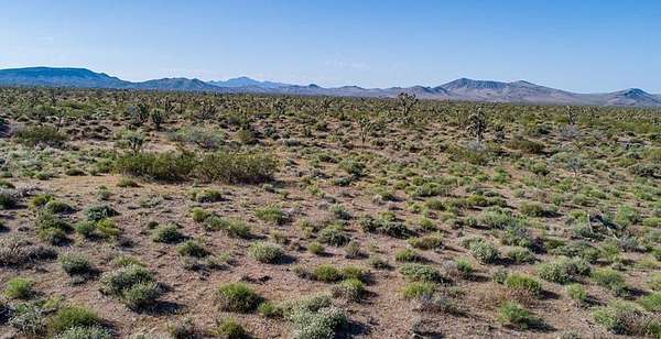 5 Acres of Residential Land for Sale in White Hills, Arizona