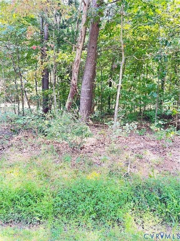 94 Acres of Recreational Land for Sale in Woodford, Virginia