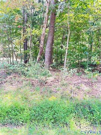 94 Acres of Recreational Land for Sale in Woodford, Virginia