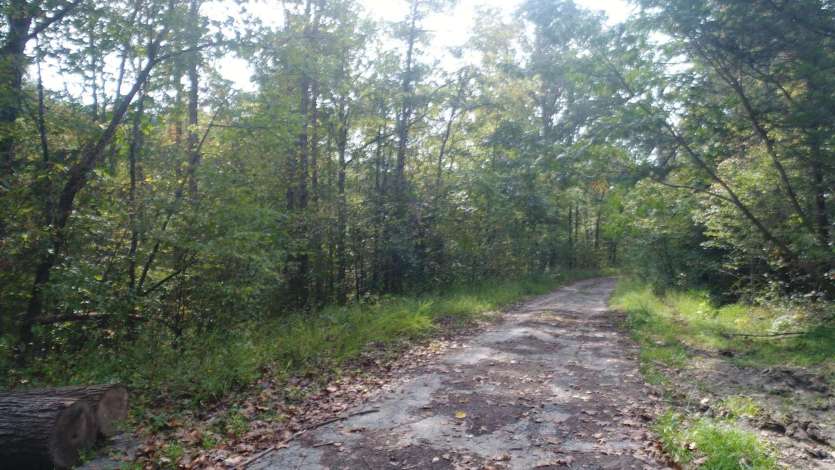 20 Acres of Recreational Land for Sale in Burnside, Kentucky