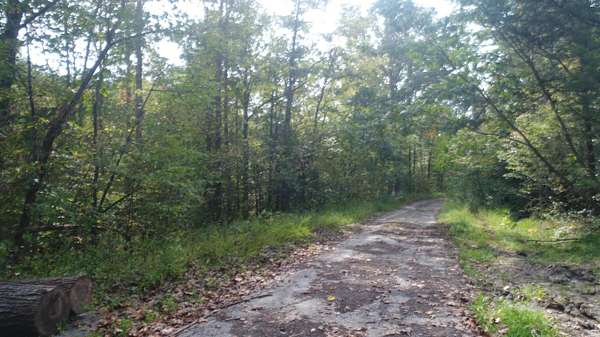 20 Acres of Recreational Land for Sale in Burnside, Kentucky