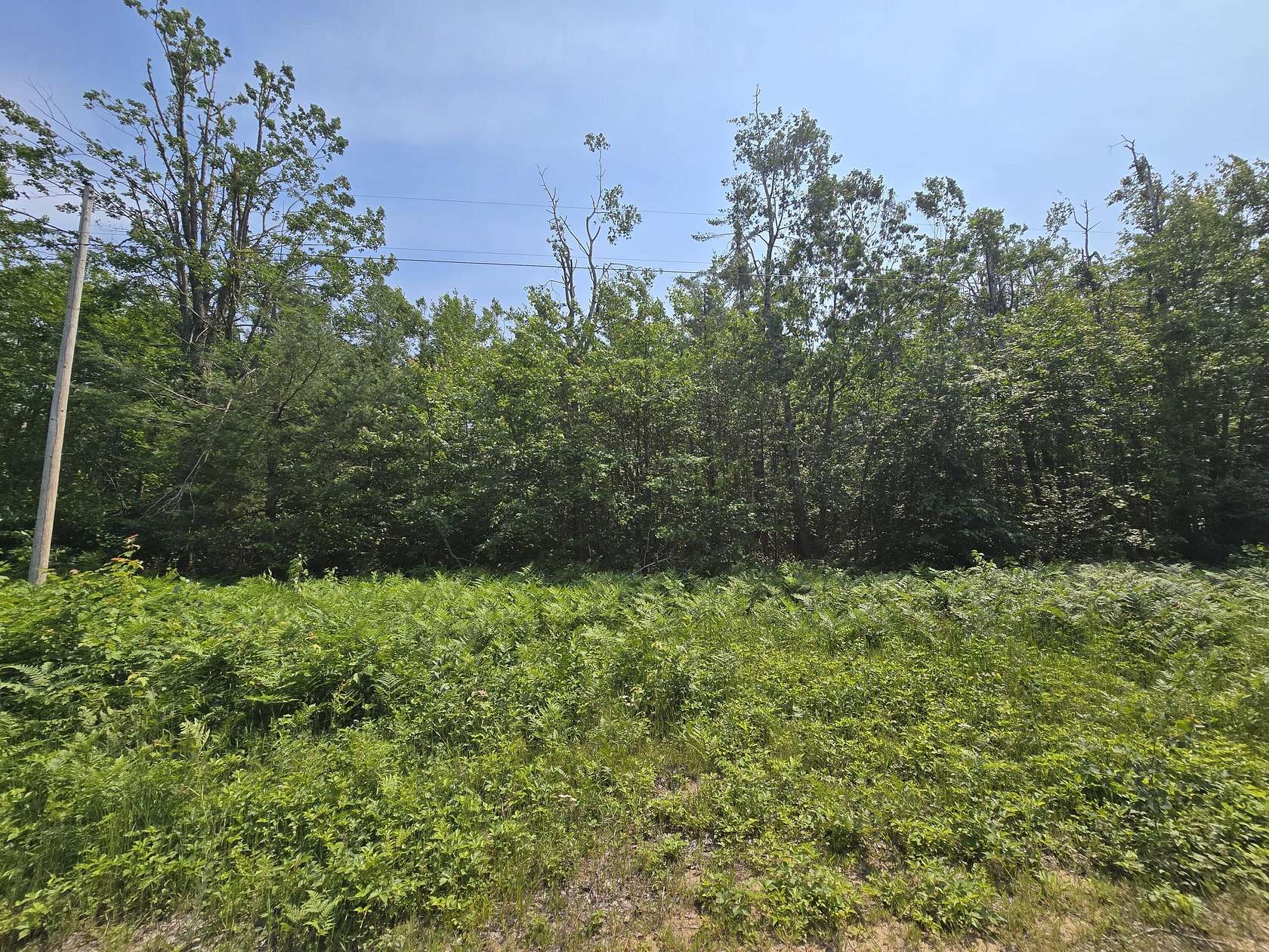 2.5 Acres of Land for Sale in Gaylord, Michigan