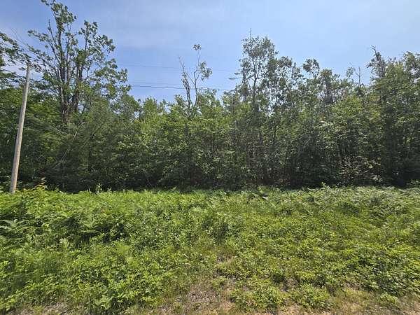 2.5 Acres of Land for Sale in Gaylord, Michigan