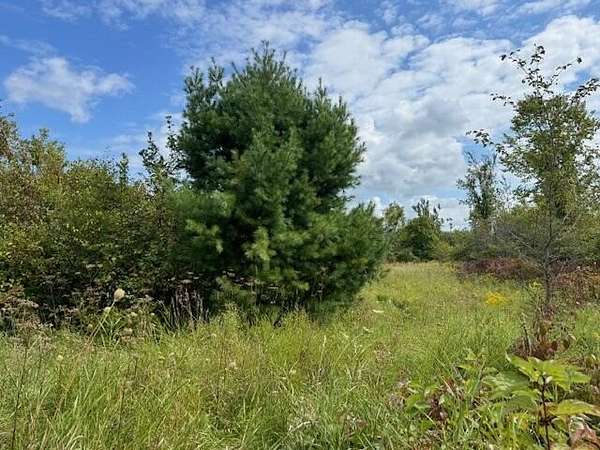 3.8 Acres of Land for Sale in Cheboygan, Michigan