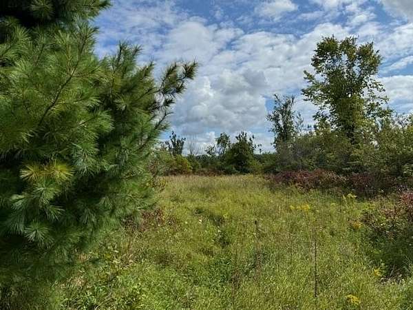 3 Acres of Land for Sale in Cheboygan, Michigan