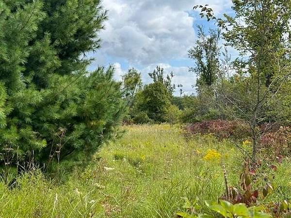 3.8 Acres of Land for Sale in Cheboygan, Michigan