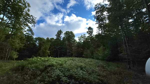 10 Acres of Recreational Land for Sale in Curtis, Michigan