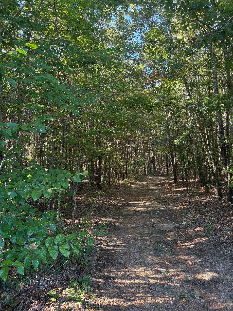 104 Acres of Recreational Land for Sale in Wingina, Virginia