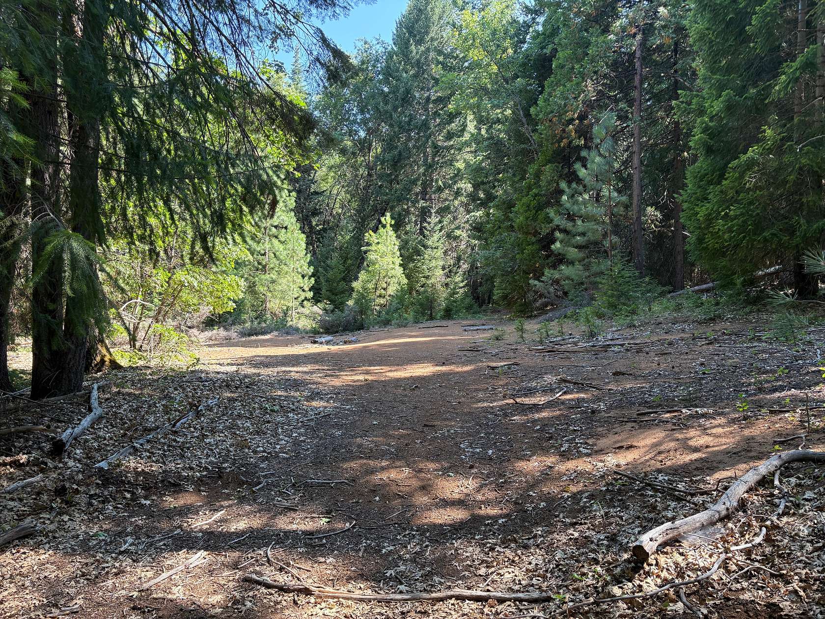 40 Acres of Land for Sale in Mount Shasta, California