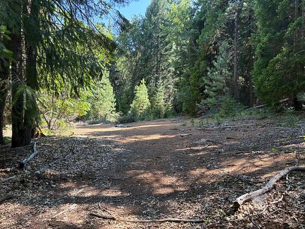 40 Acres of Land for Sale in Mount Shasta, California