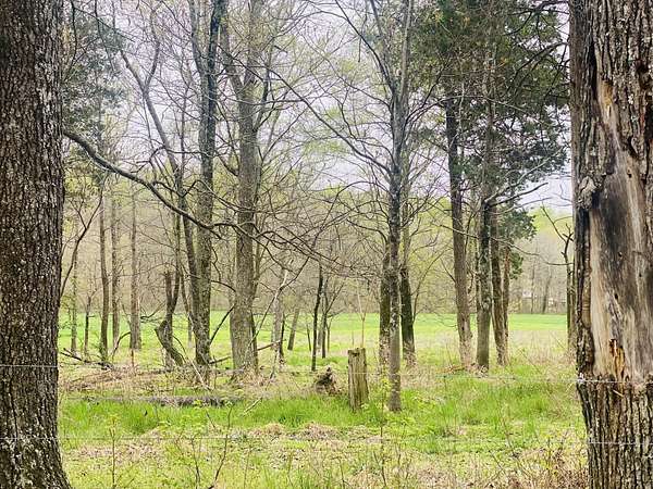 5 Acres of Residential Land for Sale in Chapmansboro, Tennessee