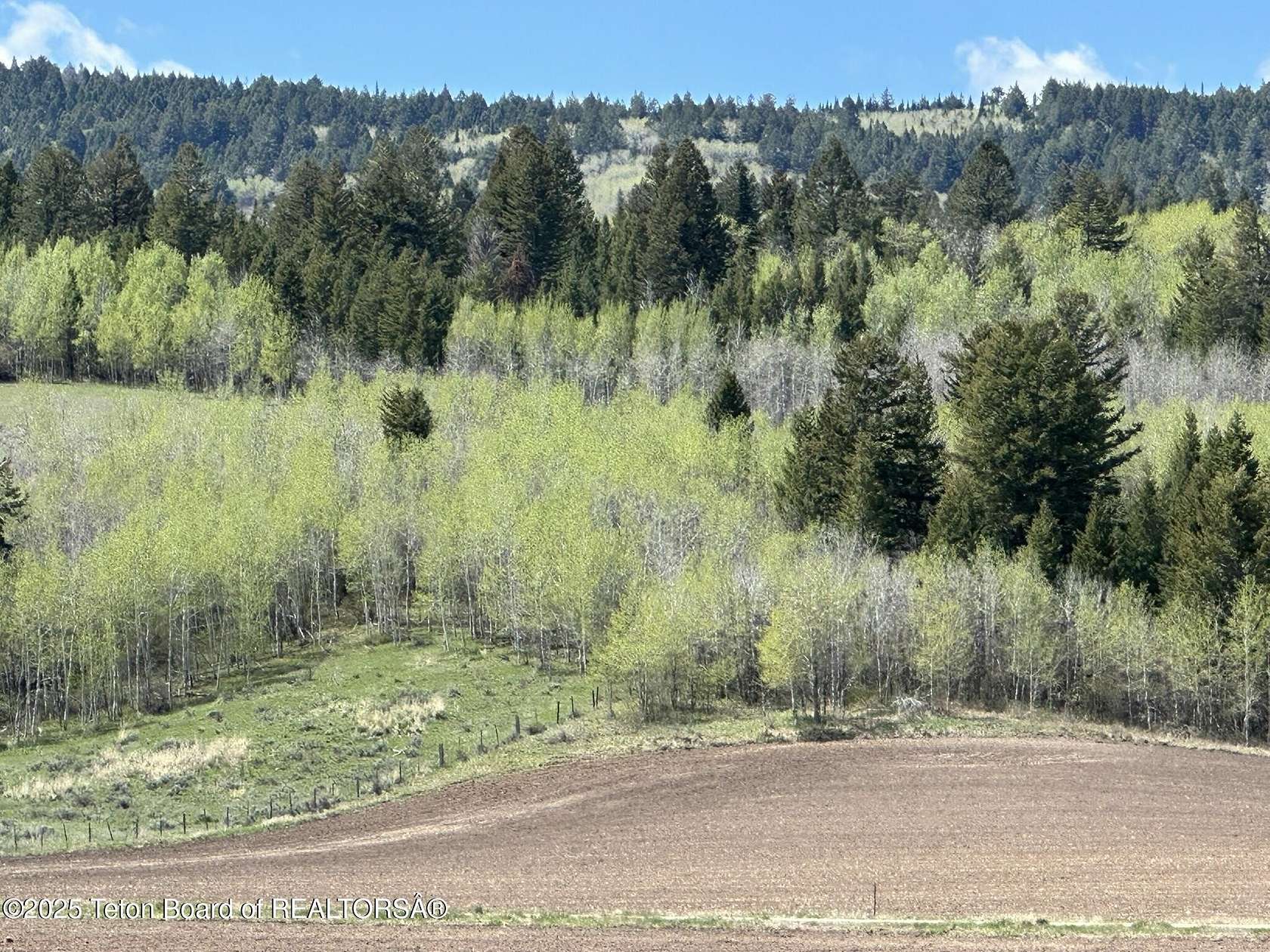 1 Acre of Residential Land for Sale in Tetonia, Idaho