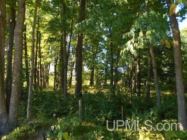 14.7 Acres of Recreational & Residential Land for Sale in Crystal Falls, Michigan