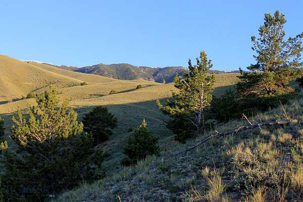20 Acres of Recreational Land for Sale in Belfry, Montana