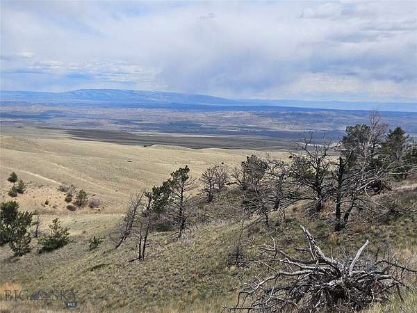 20 Acres of Recreational Land for Sale in Belfry, Montana