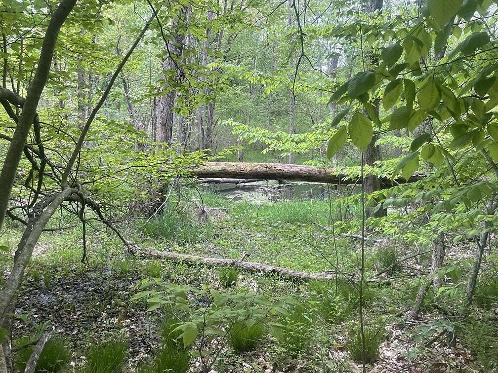 50 Acres of Recreational Land for Sale in South Haven, Michigan