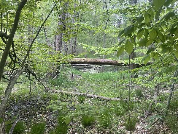 50 Acres of Recreational Land for Sale in South Haven, Michigan