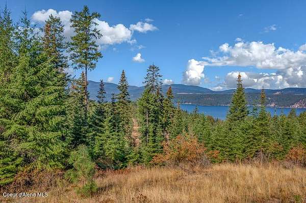 2.2 Acres of Residential Land for Sale in Harrison, Idaho