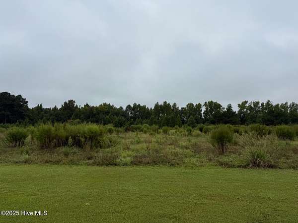 13 Acres of Land for Sale in Grifton, North Carolina