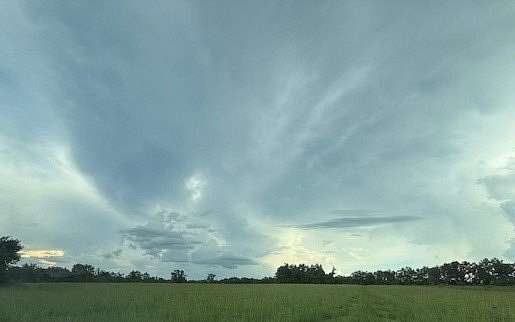 42.8 Acres of Agricultural Land for Sale in Lake City, Florida