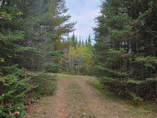 42.4 Acres of Recreational Land for Sale in Tomahawk, Wisconsin
