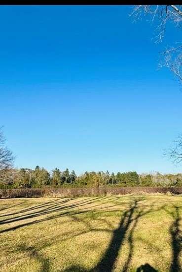 32 Acres of Land for Sale in New Brockton, Alabama