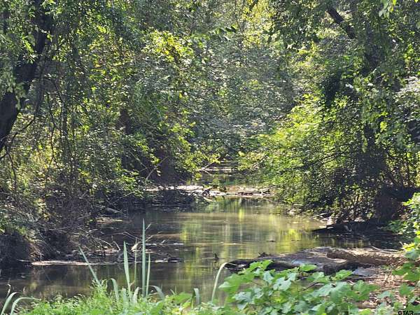 124 Acres of Recreational Land for Sale in Flint, Texas