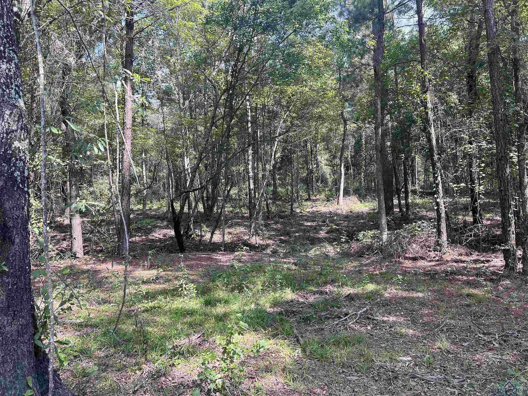 4.37 Acres of Land for Sale in Henderson, Texas