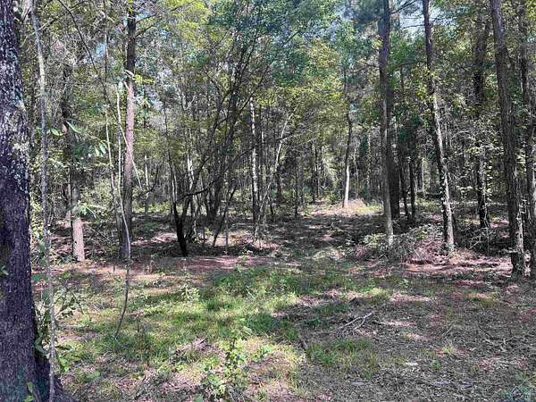 4.37 Acres of Land for Sale in Henderson, Texas