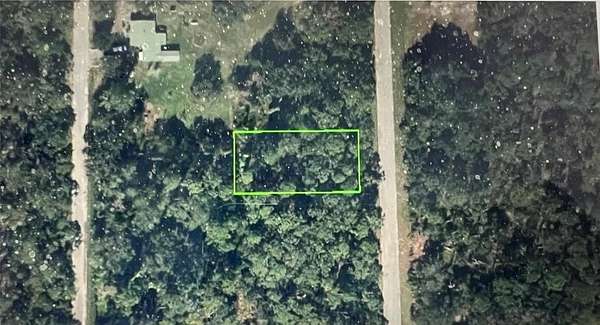 0.25 Acres of Residential Land for Sale in Lake Placid, Florida