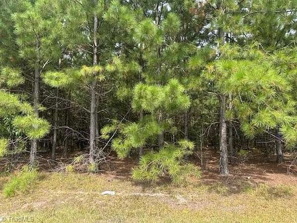 10 Acres of Land for Sale in Jackson Springs, North Carolina