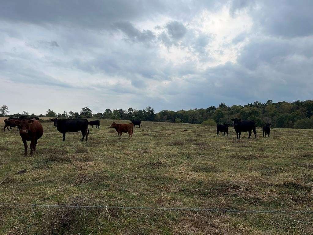 57 Acres of Agricultural Land for Sale in Flemingsburg, Kentucky