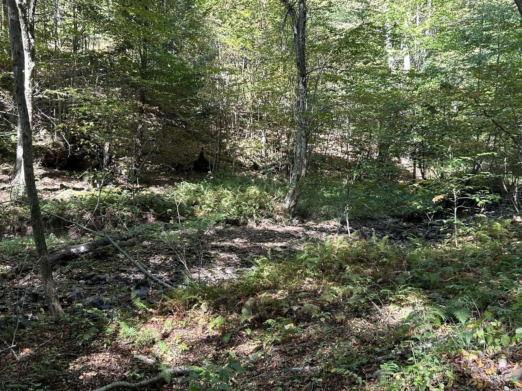 6.23 Acres of Land for Sale in Terra Alta, West Virginia