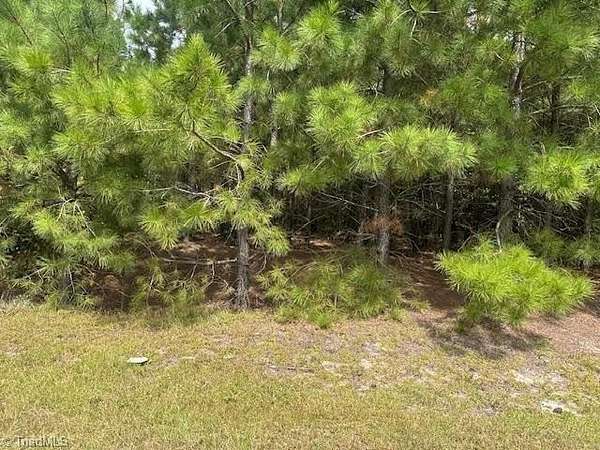 10.3 Acres of Land for Sale in Jackson Springs, North Carolina