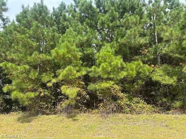 10 Acres of Land for Sale in Jackson Springs, North Carolina
